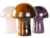 gemstone mushroom width=