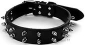 two row leather 1 inch spike collar