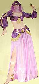 Ladies' Cinema Secrets Harem Girl purple sheer/glitter slit harem skirt with gold star accents, tassels, elastic waist