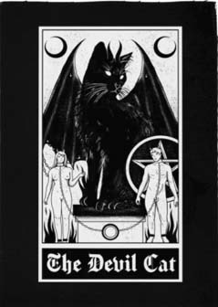 Too Fast Devil Cat tarot card black cloth raw edge sew on punk patch 