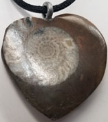 Ammonite heart 1 1/4 inch necklace