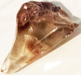 Amphibole 1 1/2 inch specimen