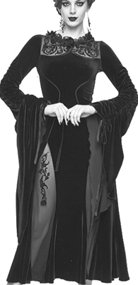 Eva Lady long velvet/lace Gothic dress with sheer gores