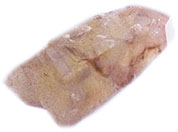 Phantom quartz point 1 3/4 inch specimen