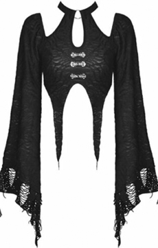 Dark in Love gothic stretch mesh spiderweb shredded exaggerated point sleeve top
