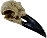 Alchemy of England Corvus Alchemia resin bird skull