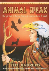 Dreamkeepers tarot deck by Liz Huston