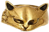 Nirvana bronze cat face ring.
