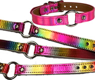 Funk Plus rainbow patent o ring choker