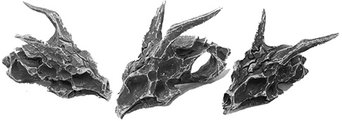 Mio Queena faucet dragon head stainless steel pendant necklace