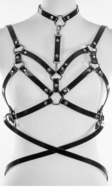 Funk Plus black matte vinyl harness.